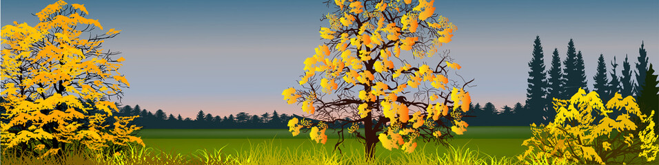 Obraz na płótnie Canvas yellow autumn trees in front of dark forest