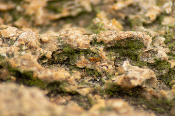 Textura de piedra