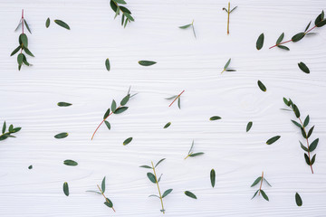 Floral pattern with green leaves on white background top view mockup