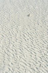 White wavy send on a beach with beautiful texture 