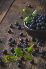 Clay bowl with organic, wild forest blueberries on a rustic wooden table.