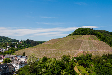 Saarburg, Weinberg, Weinstadt, Weinhang, Stadt, Altstadt, Saar, Fluss, Rebberg, Frühling,...