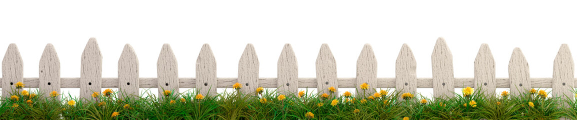 A wooden fence with green grass and dandelions, isolated on a white background. 3D image