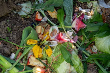 Kompost - Wiederverwertung alter Lebensmittel - Dünger
