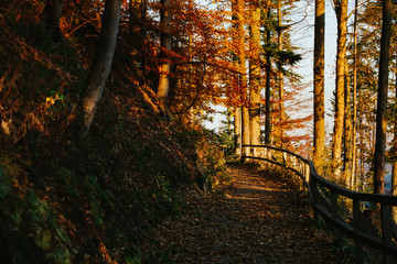 Beautiful autumn sunny Babia Gora