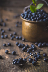 Copper bucket with organic, wild forest blueberries on a rustic wooden table.