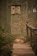 Jägerhochstand im Wald mit Holzbrücke im Vordergrund