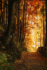 Beautiful autumn sunny Babia Gora