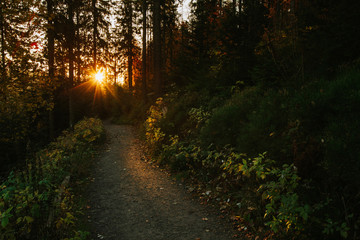 Fototapeta premium Beautiful autumn sunny Babia Gora