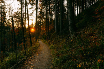 Fototapeta premium Beautiful autumn sunny Babia Gora