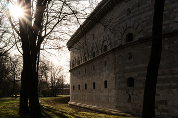 Fototapeta premium White big brick wall with a tree in front