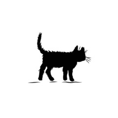 Black little kitten steps. Graphic pet. 