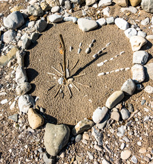 rock sundial