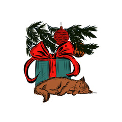 Cat sleeps next present under Christmas tree. 