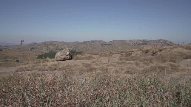 Waving dry grass on the hills of Eswatini. Shot in flat profile. 