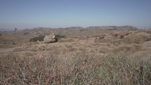 Waving dry grass on the hills of Eswatini. Shot in flat profile. 