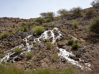 A small stream flows along a slope in the Oman's stony desert. Oman