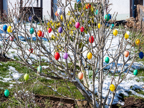 Bunter Osterstrauch im Garten mit Schnee