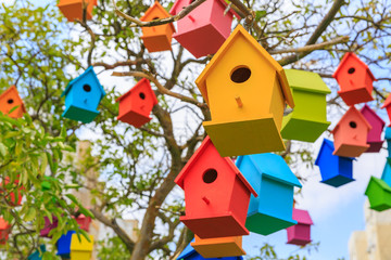 Closeup birdhouses on a mandarin tree