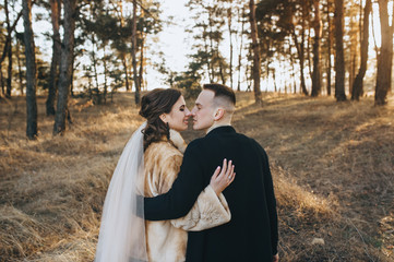 A loving groom in a black cardigan and a sweet bride in an expensive dress are walking holding hands with their backs in the woods in nature. Wedding portrait of smiling and kissing newlyweds.