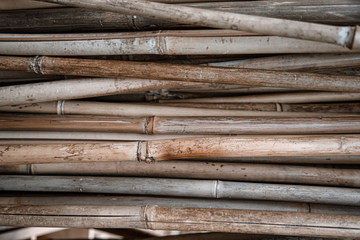 Natural background with lots of Bamboo sticks.