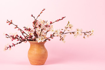 Beautiful bouquet of twigs blossoming apricots for congratulations