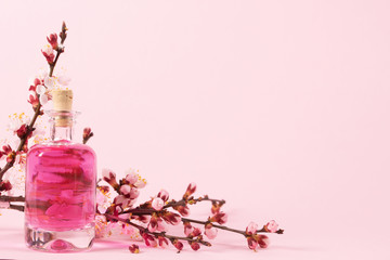 Perfume bottle and a branch of blooming apricots on a pink background