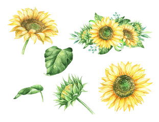 Watercolor floral illustration with sunflowers and greenery.