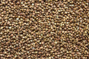 A uniform background with space for copying - buckwheat, scattered in an even layer on the surface.