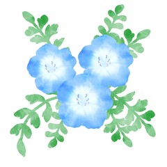 ネモフィラ　青い花　水彩風イラスト