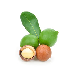 macadamia nuts isolated on white background