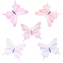 Watercolor pastel color butterflies, isolated on white background. Hand drawn illustration.