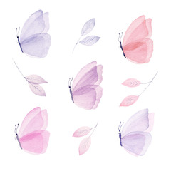 Set of watercolor illustrations with butterfly and leaf. Hand painted pastel clipart. - 334171195