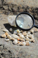 海岸で水晶探し