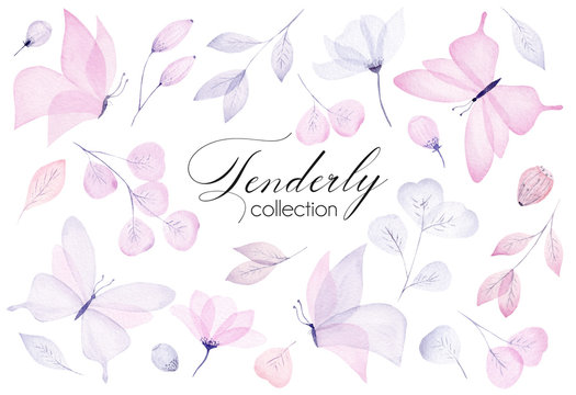 Watercolor hand drawn tenderly set with butterfly, flower, leaf and branch. Pastel color illustration.