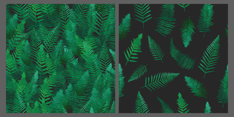 Fern green leaves seamless patterns set, jungle backgrounds