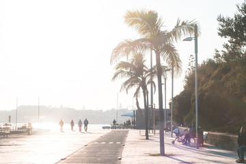 Portugal. Europe. Walking path in the promenade. The alley with palm trees and walking people.