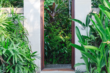 Entrance doorway with plants