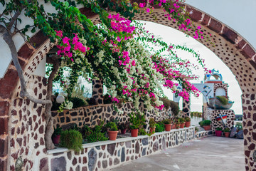 Traditional architecture in Akrotiri village on Santorini island, Greece. Cafe with bougainvillea...