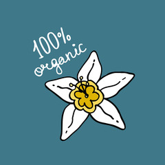 flower of vanilla doodle icon, vector illustration