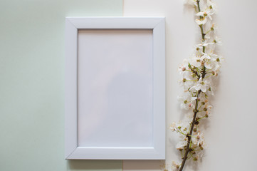 White blank frame on pastel green background with flower. Minimalistism background. Mock up frame. Summer or travel concept. Copy space
