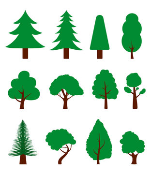 Vector flat tree for landscape. Cartoon silhouette oak tree for garden decoration. Design green hardwood plant for natural ecology background. Set of organic elements. Floral illustration.