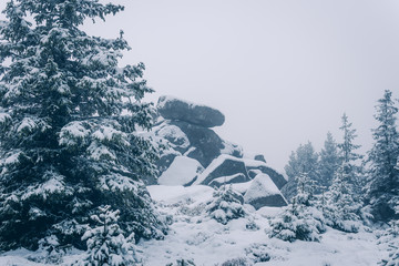 Kleine Verschneite Klippen im Nationalpark Harz