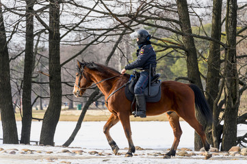 Moscow, Russia, March 1, 2020. Police on horseback are ready to protect the public in the Park.