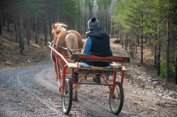 Woman driving horsedrawn carriage