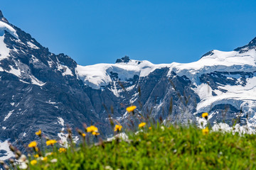 Switzerland, Panoramic view on Eiger, Monch and Jungfraujoch and green Alps around