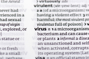 Page of Book with definition of word virus in dictionary