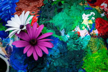 deux fleurs, violette et blanche  au milieu de tâche multicolores
