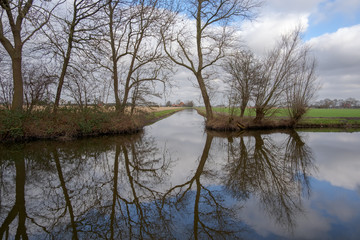Bare trees that are reflected in a pond and a ditch in a meadow landscape