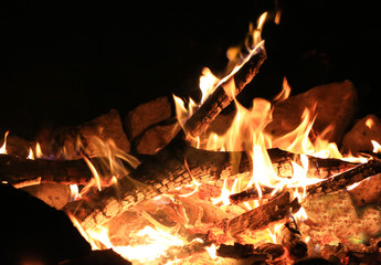 burning wood in campfire